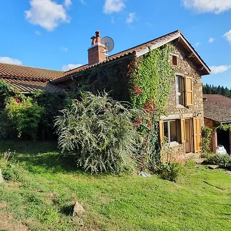 Eco-Gite Cottage Panoramique, Terrasses, Baby Foot, 150 M2 Renove Et Agrandi En 2024, Activites Proposees Champagnac-le-Vieux Exterior photo